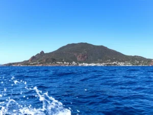 medico-panarea